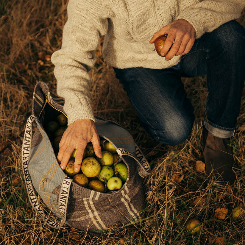 Cadboll Log Bag - Image 4